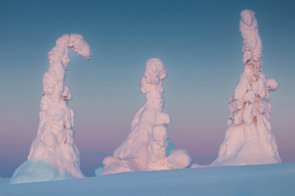 Photo by Sergey Guk: https://www.pexels.com/photo/three-snow-covered-trees-in-the-middle-of-a-field-28359749/